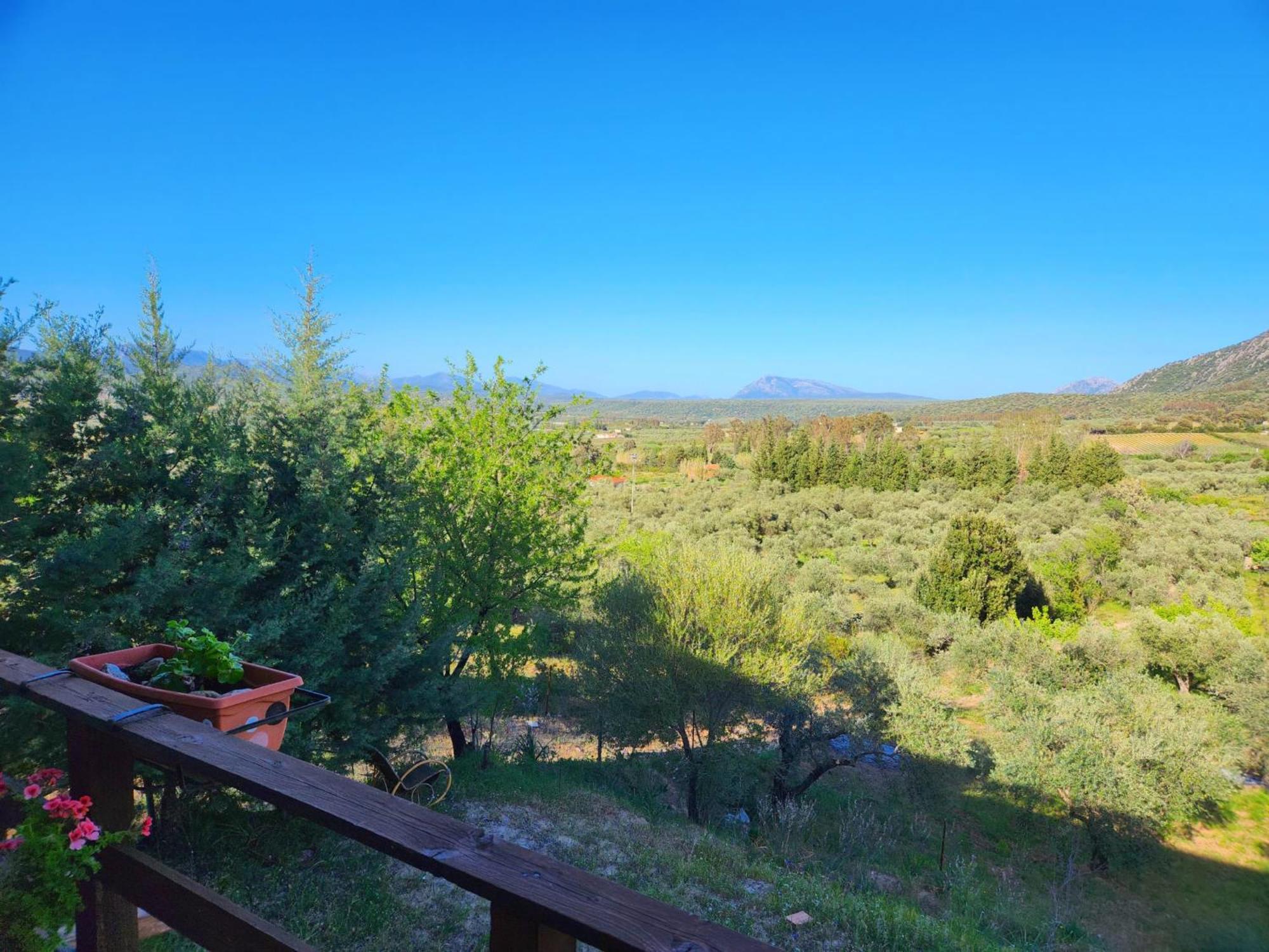 Panoramic House Villa Oliena Exterior photo