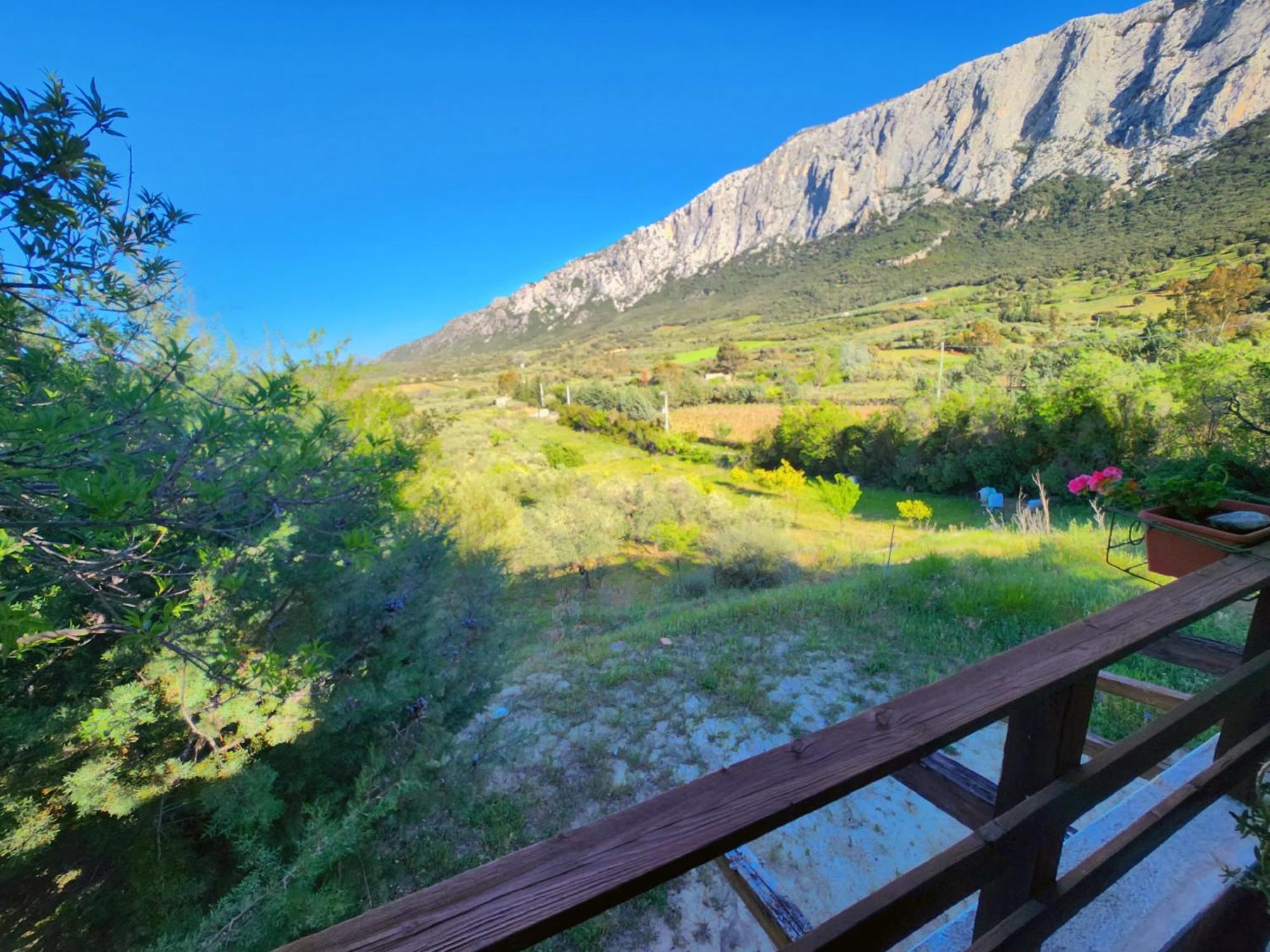 Panoramic House Villa Oliena Exterior photo